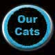 Our Cats