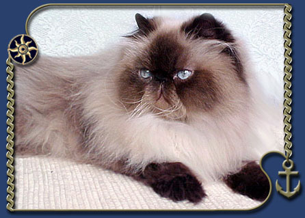 Oakheaven Divine Ms jJackye